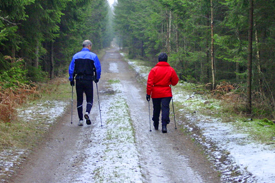 Personaltraining - Nordic Walking